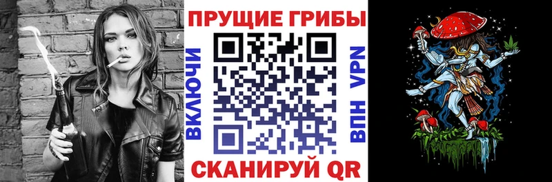 Псилоцибиновые грибы мицелий  ОМГ ОМГ вход  Саранск 