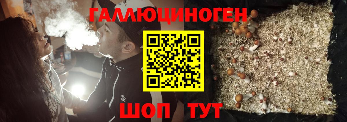 Галлюциногенные грибы Cubensis Саранск