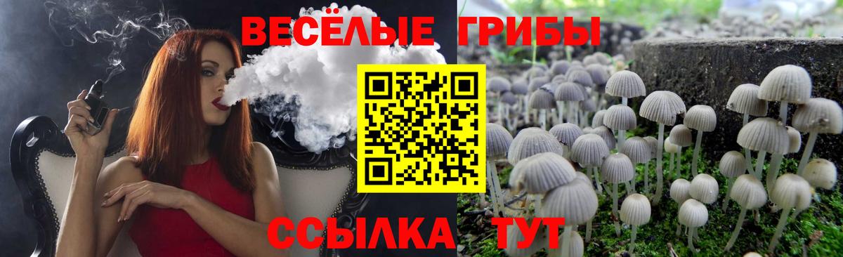 Псилоцибиновые грибы GOLDEN TEACHER  Галлюциногенные грибы мухоморы  сколько стоит  Вход с VPN  Саранск 